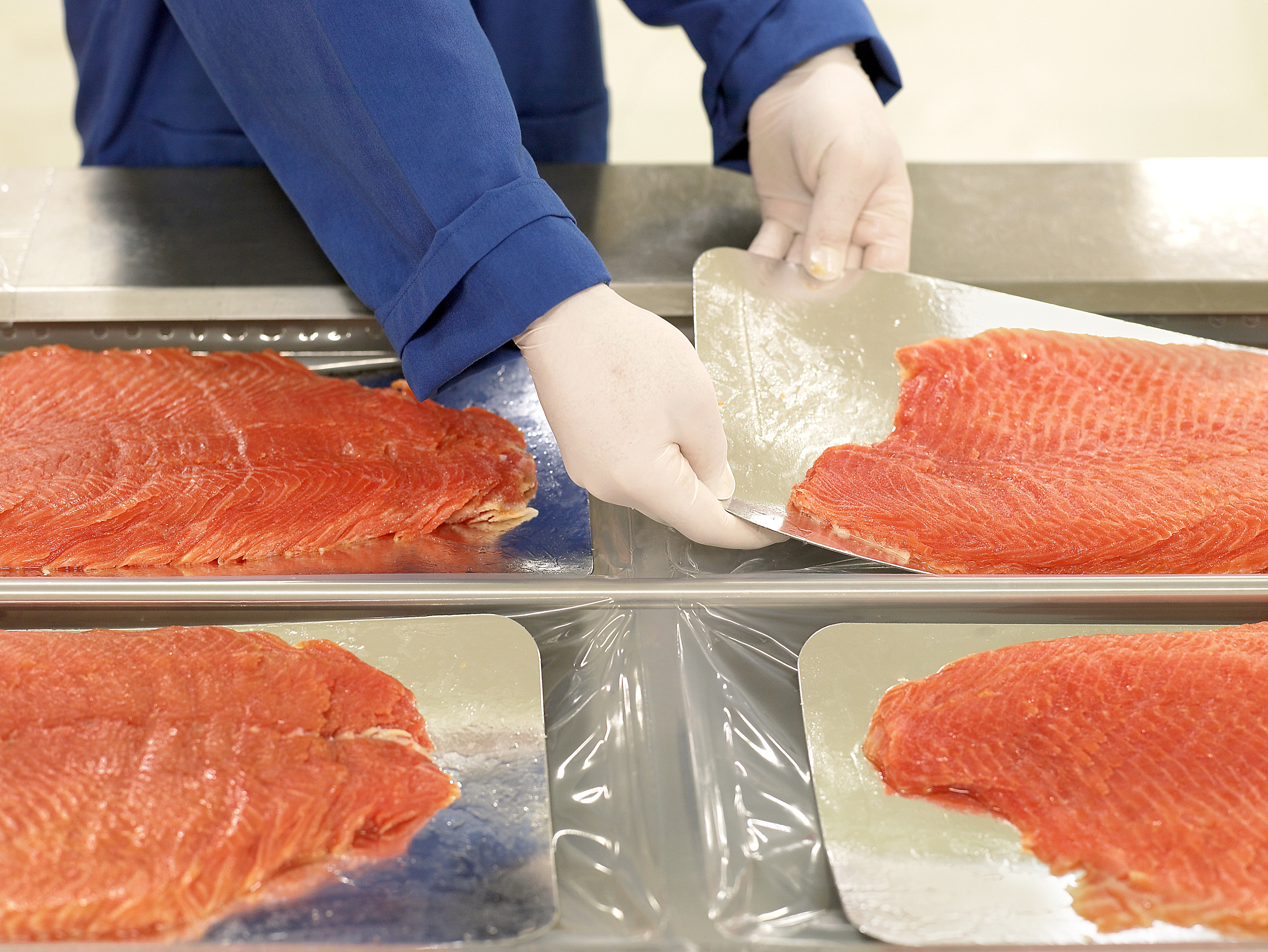 Seafood packaging solutions on line